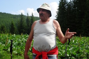 Слідами забутих предків: Верховина та Говерла